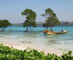 Holiday In Andaman