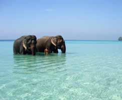 Andaman Vacation