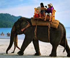 Andaman Tourism Package