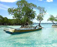 Andaman Vacation Package